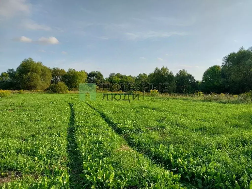 Участок в Орловская область, Орловский муниципальный округ, д. ... - Фото 1