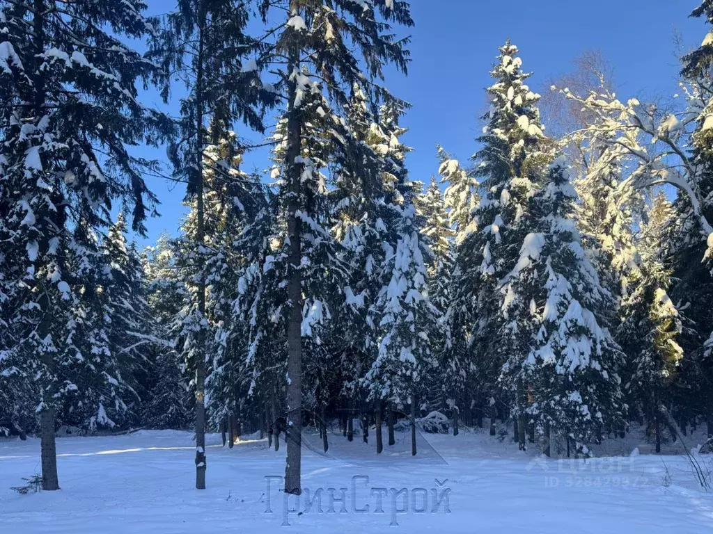 Участок в Московская область, Наро-Фоминский городской округ, д. ... - Фото 2