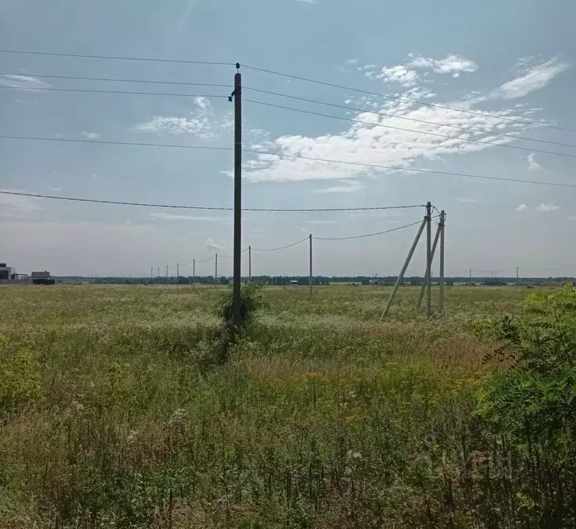 Участок в Тамбовская область, Тамбов ул. Имени Василия Кравченко (7.5 ... - Фото 1