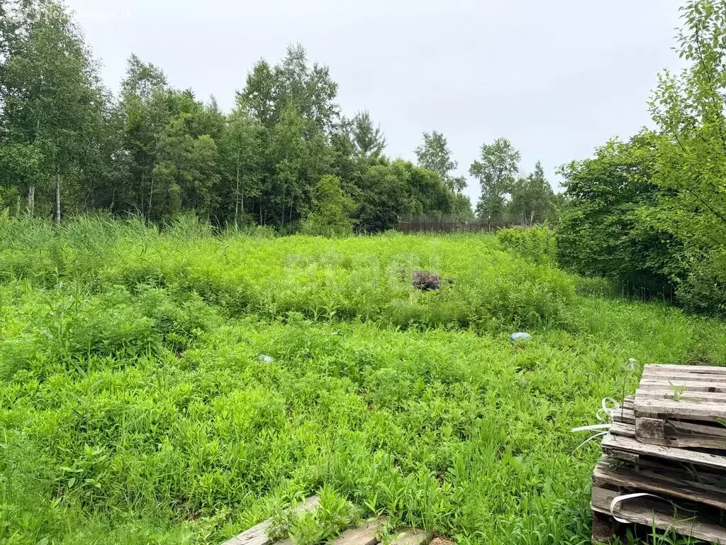 Участок в Хабаровск, СТ Надежда (6.11 м) - Фото 2