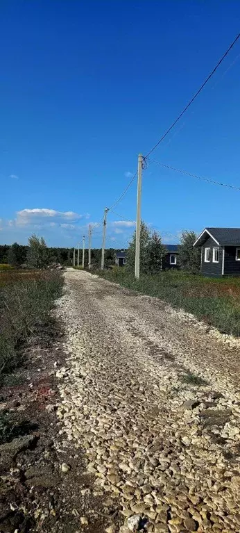 Участок в Пензенская область, с. Бессоновка ул. Центральная (10.0 ... - Фото 1