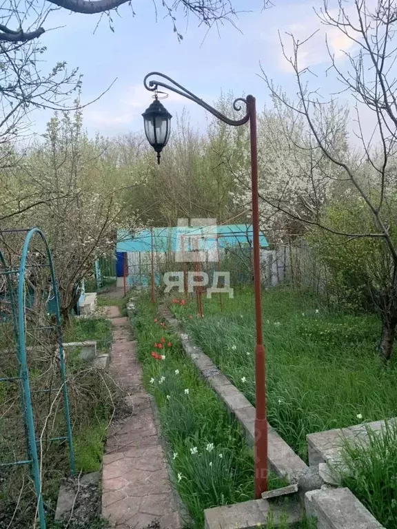 Участок в Ростовская область, Неклиновский район, с. Самбек Клубный ... - Фото 1