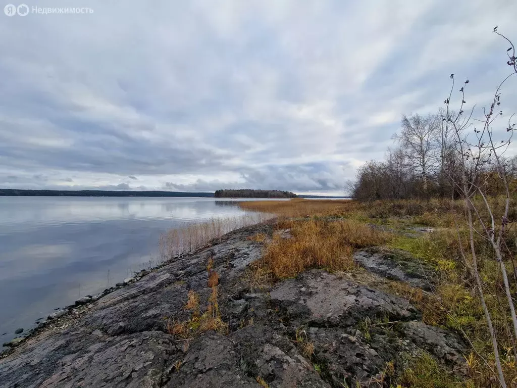 Дом в Шуйское сельское поселение, территория Жилой массив Ринда (60.6 ... - Фото 2