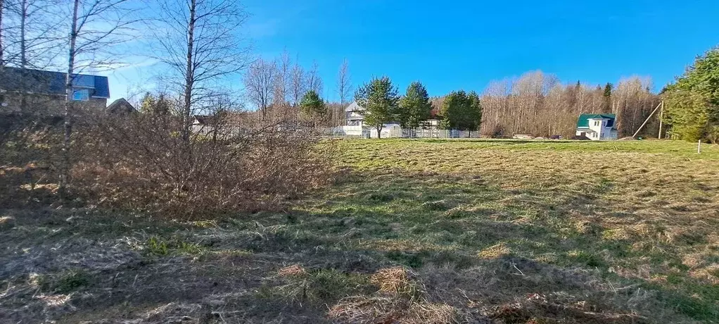 Участок в Ленинградская область, Выборгский район, Каменногорское ... - Фото 2