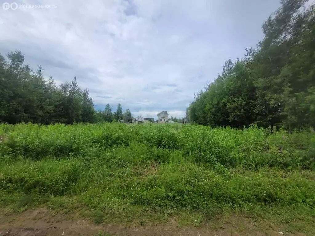 Участок в Республика Марий Эл, городской округ Йошкар-Ола, деревня ... - Фото 0