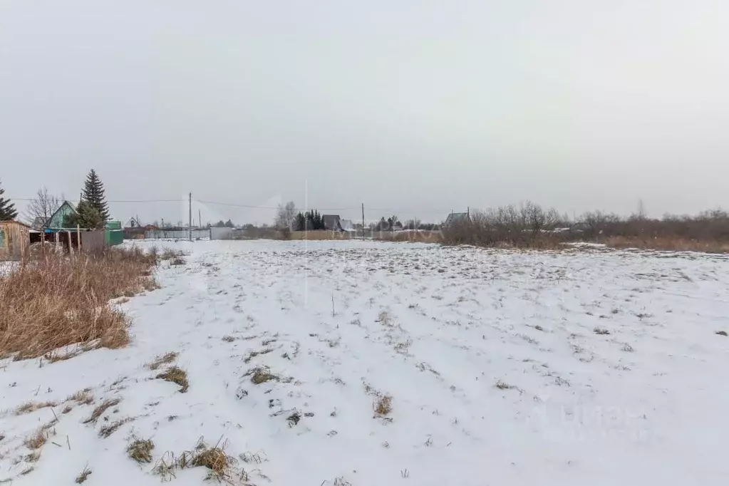 Участок в Тюменская область, Тюменский район, Автомобилист-2 СНТ ул. ... - Фото 0