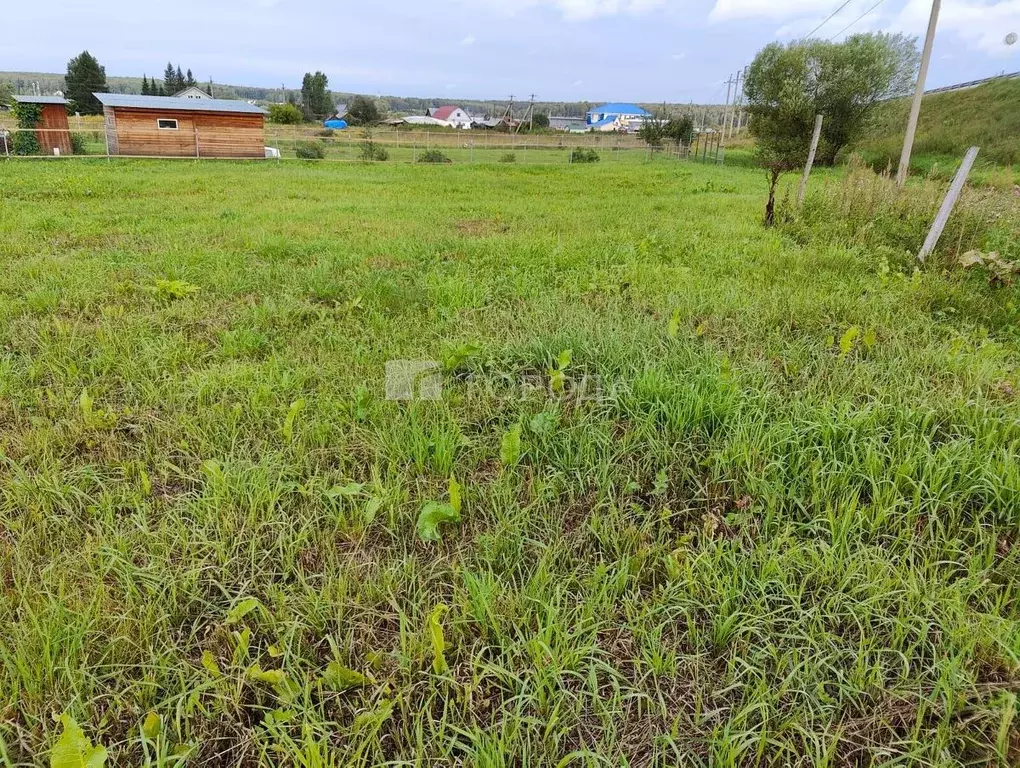 Участок в Новосибирская область, Тогучинский район, Репьевский ... - Фото 1