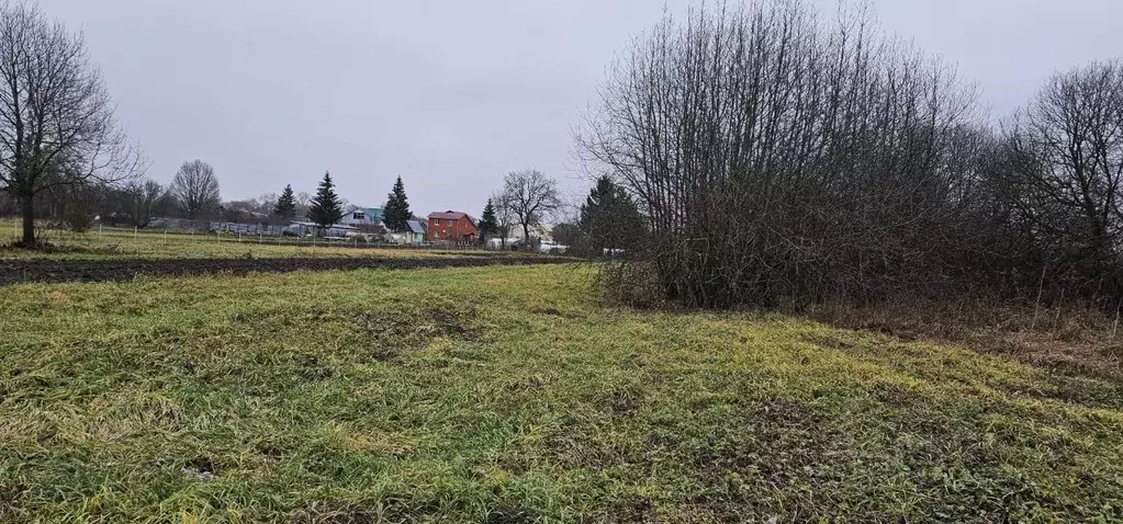 Участок в Московская область, Луховицы муниципальный округ, с. ... - Фото 1