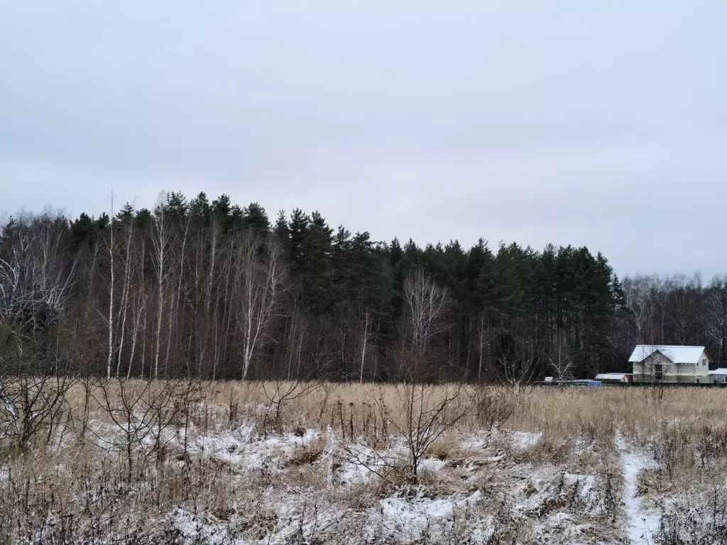 Участок в Тульская область, Заокский район, Малаховское с/пос, д. ... - Фото 1