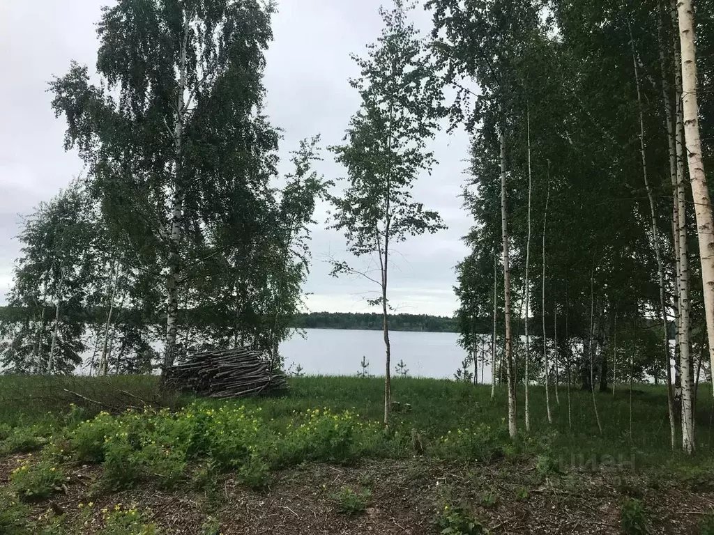 Участок в Тверская область, Зубцовский муниципальный округ, д. ... - Фото 1