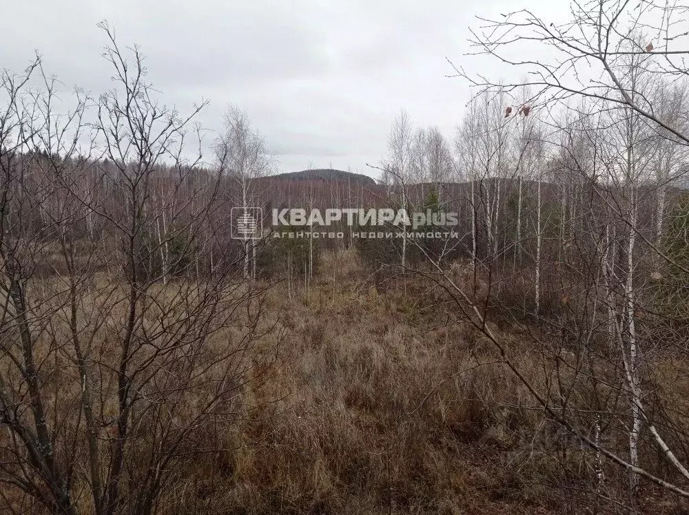 Участок в Свердловская область, Кировградский муниципальный округ, ... - Фото 2