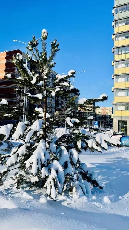 3-к кв. Московская область, Пушкино ул. Антона Ветчинова, 3 (63.0 м) - Фото 1