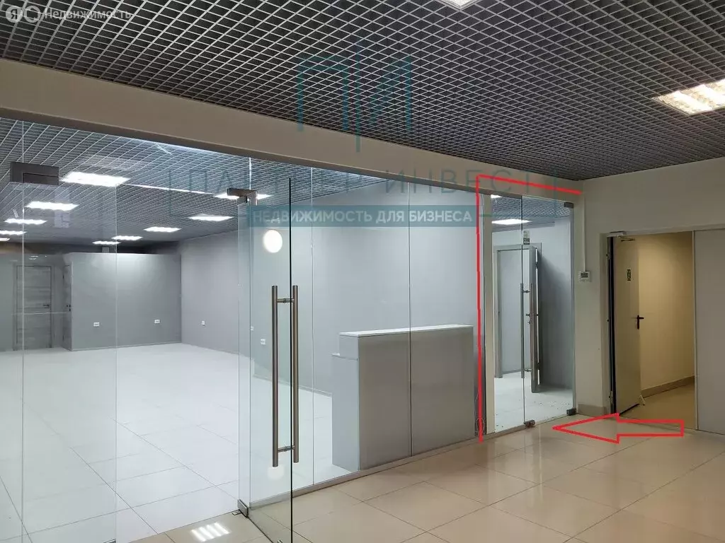 Торговая площадь (23.3 м) - Фото 2