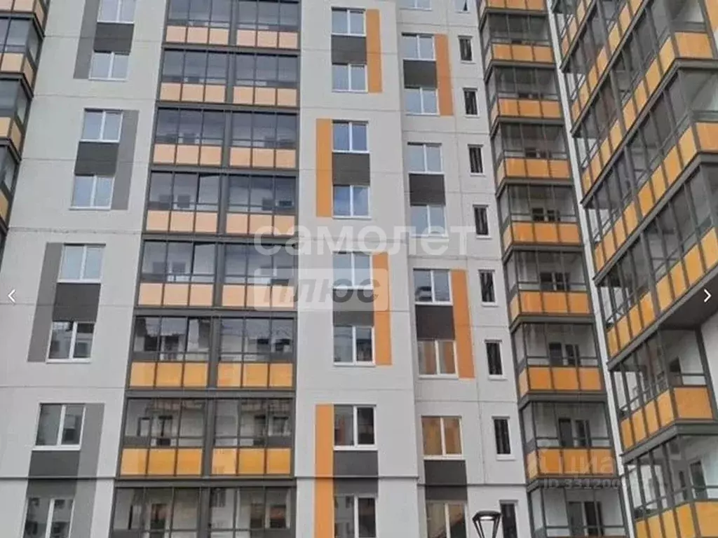 Студия Ленинградская область, Новоселье г. Ломоносовский район, ... - Фото 1