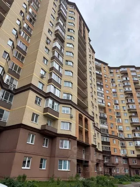 Студия Московская область, Звенигород Одинцовский городской округ, ... - Фото 0