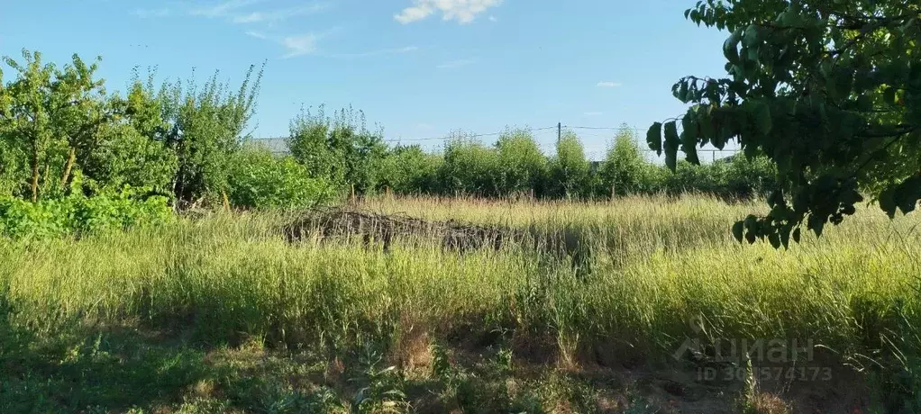 Участок в Краснодарский край, Славянский район, Прибрежное с/пос, пос. ... - Фото 2