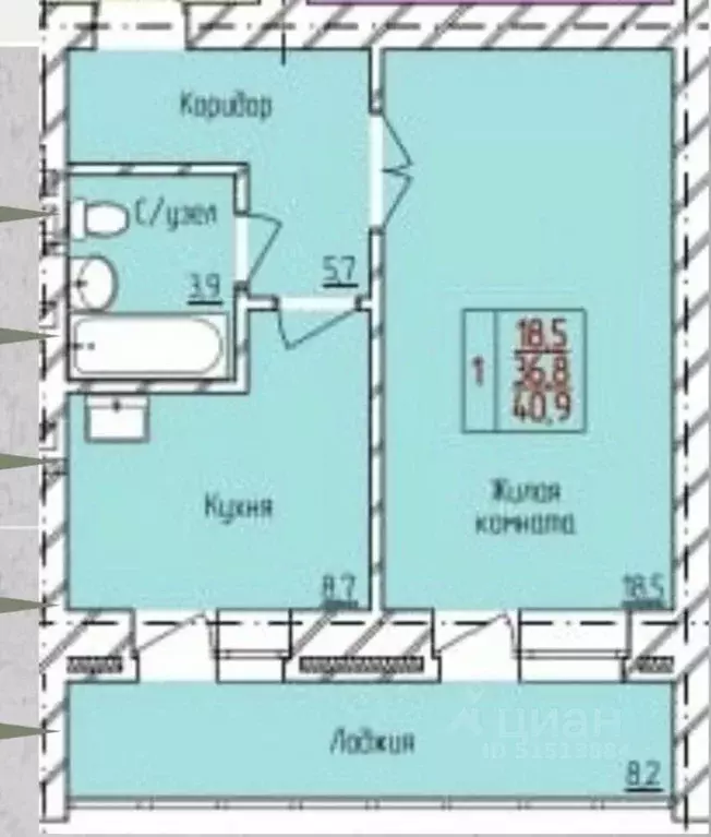 1-к кв. Амурская область, Благовещенский район, с. Чигири ул. ... - Фото 2