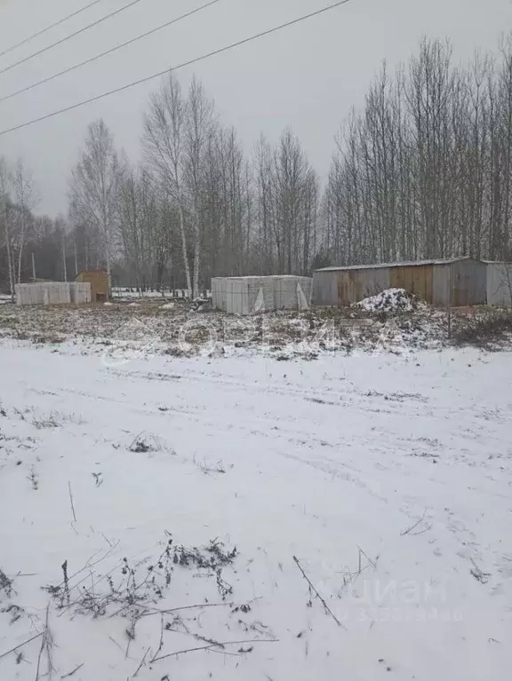 Участок в Тюменская область, Нижнетавдинский муниципальный округ, ... - Фото 1