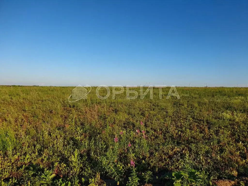 Участок в Тюменская область, Тюменский район, д. Большие Акияры  (8.4 ... - Фото 0