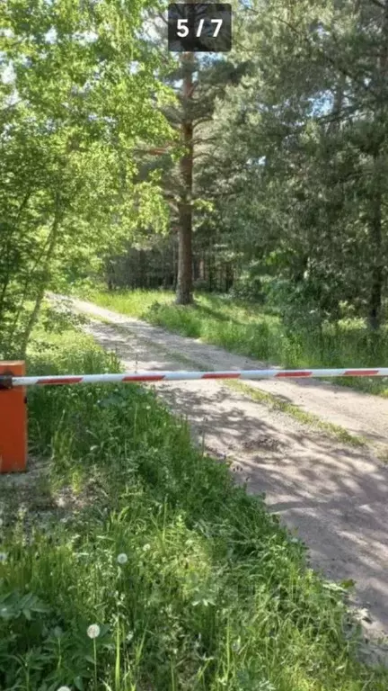 Участок в Нижегородская область, Нижний Новгород ДНП Зеленый Бор тер., ... - Фото 1