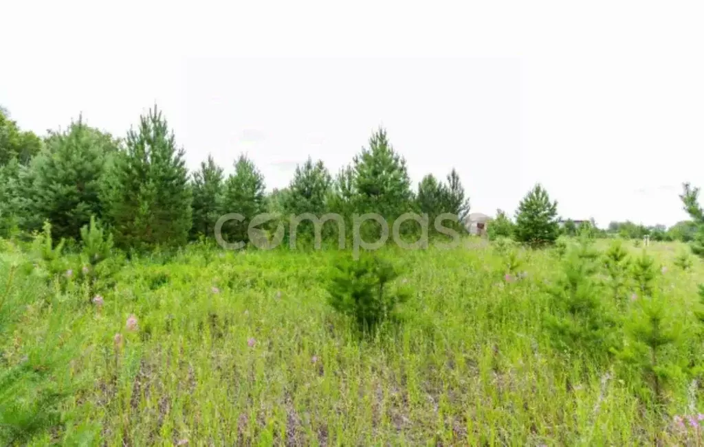 Участок в Тюменская область, Тюменский район, Новокаменский кп ул. ... - Фото 0