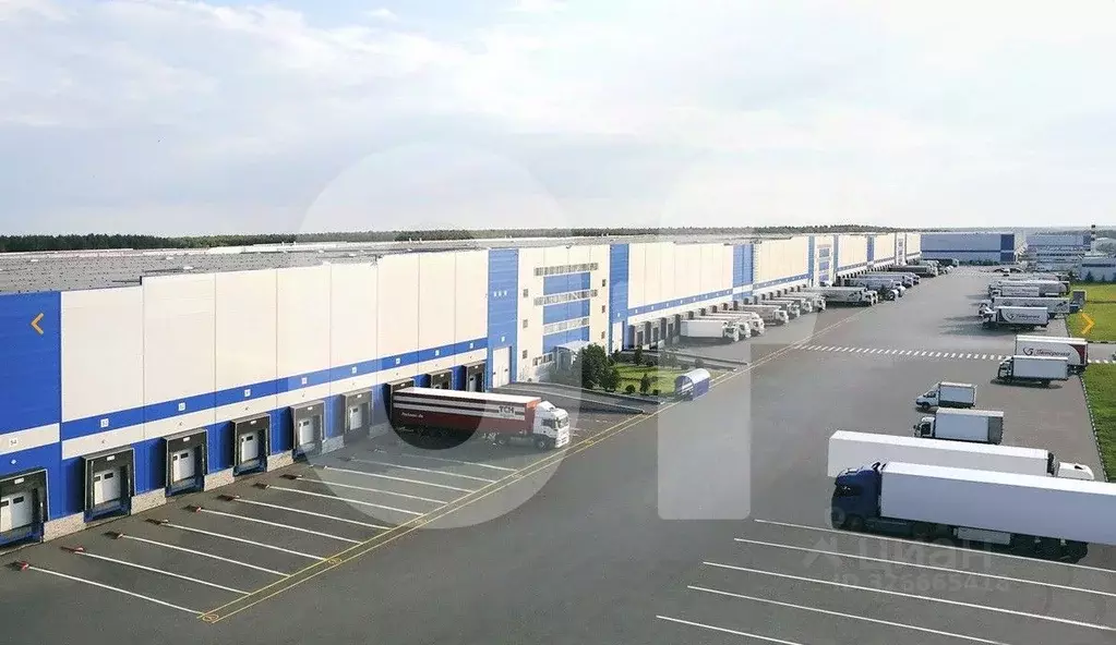 Склад в Московская область, Чехов муниципальный округ, с. Новоселки, ... - Фото 1