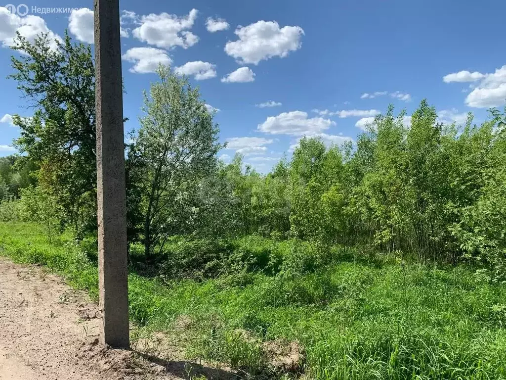 Участок в посёлок городского типа Ветлужский, Первомайская улица (13 ... - Фото 1