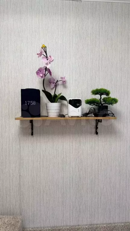 1-к. квартира, 30 м, 3/4 эт. - Фото 1