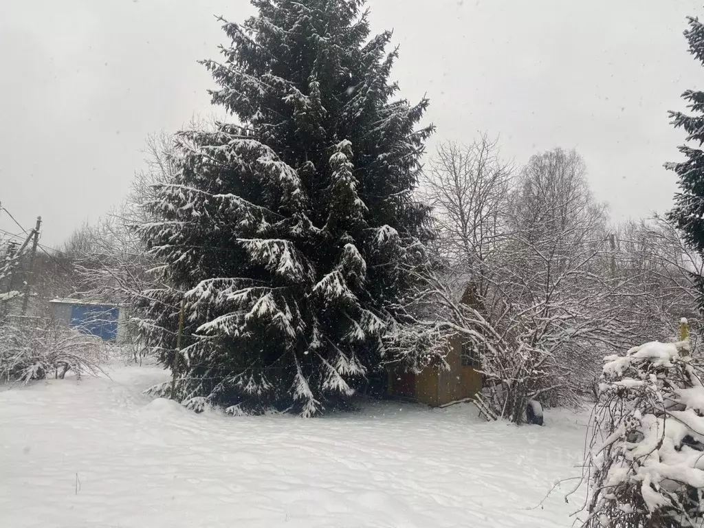 Дом в Ленинградская область, Лужский район, Толмачевское городское ... - Фото 2