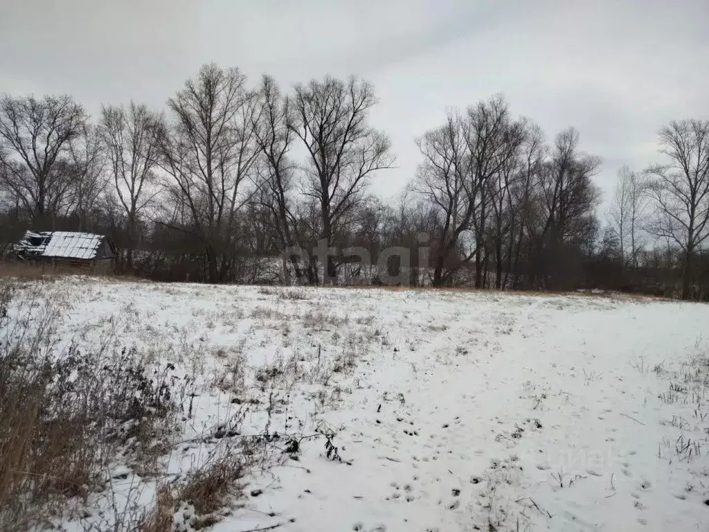 Дом в Башкортостан, Аургазинский район, Тряпинский сельсовет, д. ... - Фото 2