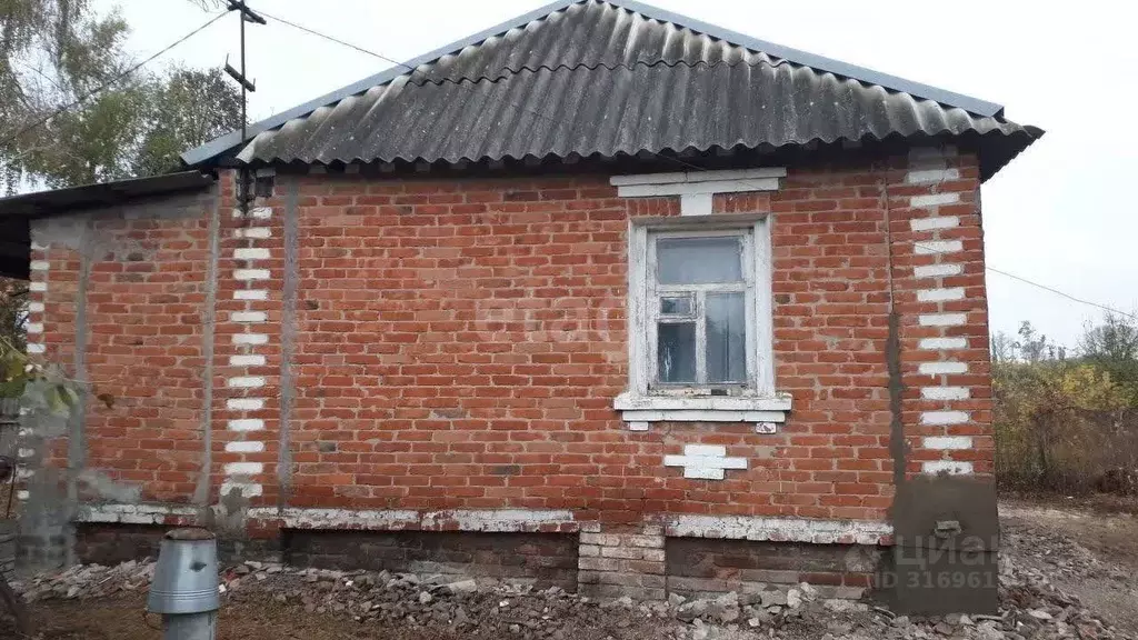 Дом в Белгородская область, Белгородский район, Хохловское с/пос, с. ... - Фото 0