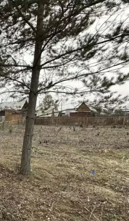 Участок в Новосибирская область, Искитим Зеленый Бор садовое ... - Фото 1