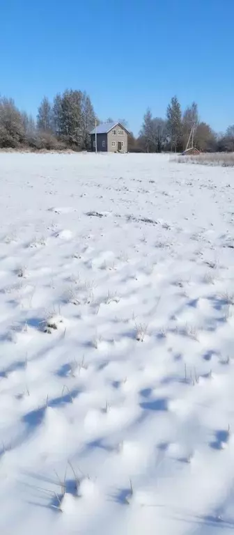 Участок в Ярославская область, Ярославский муниципальный округ, д. ... - Фото 2