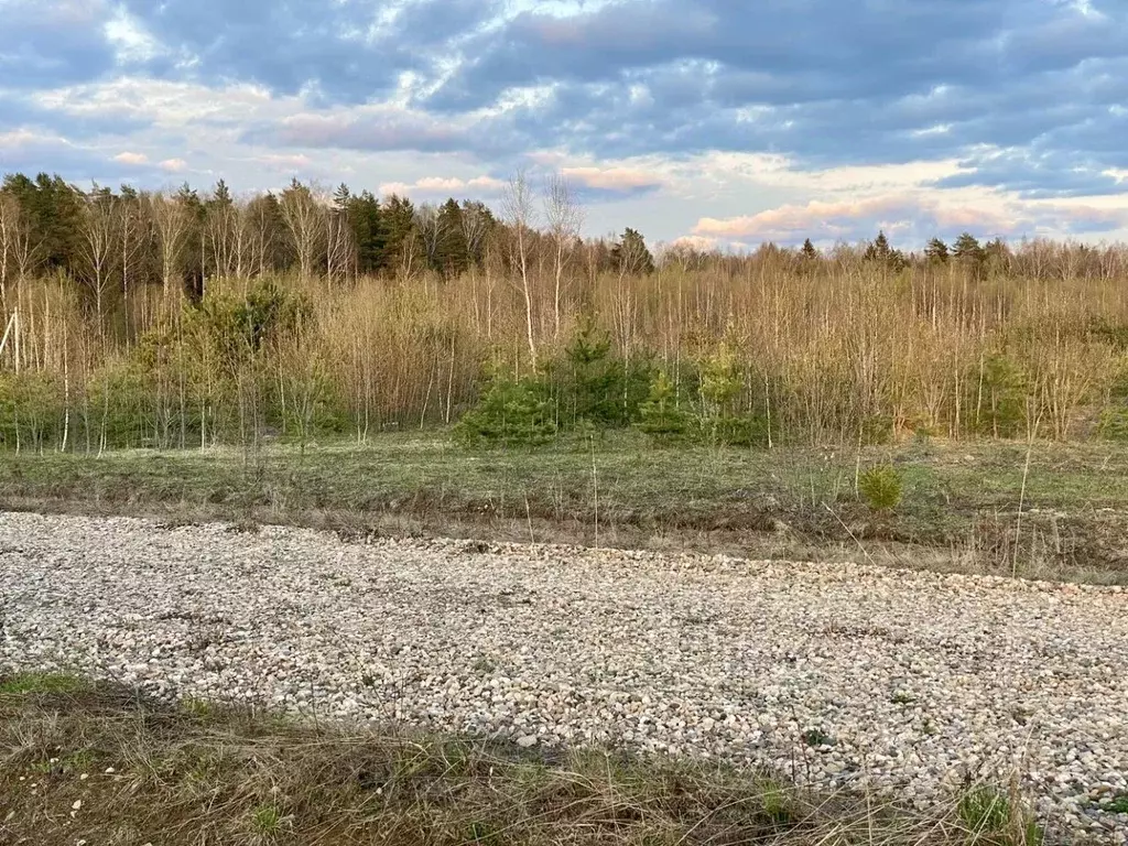 Участок в Владимирская область, Александровский район, Андреевское ... - Фото 0