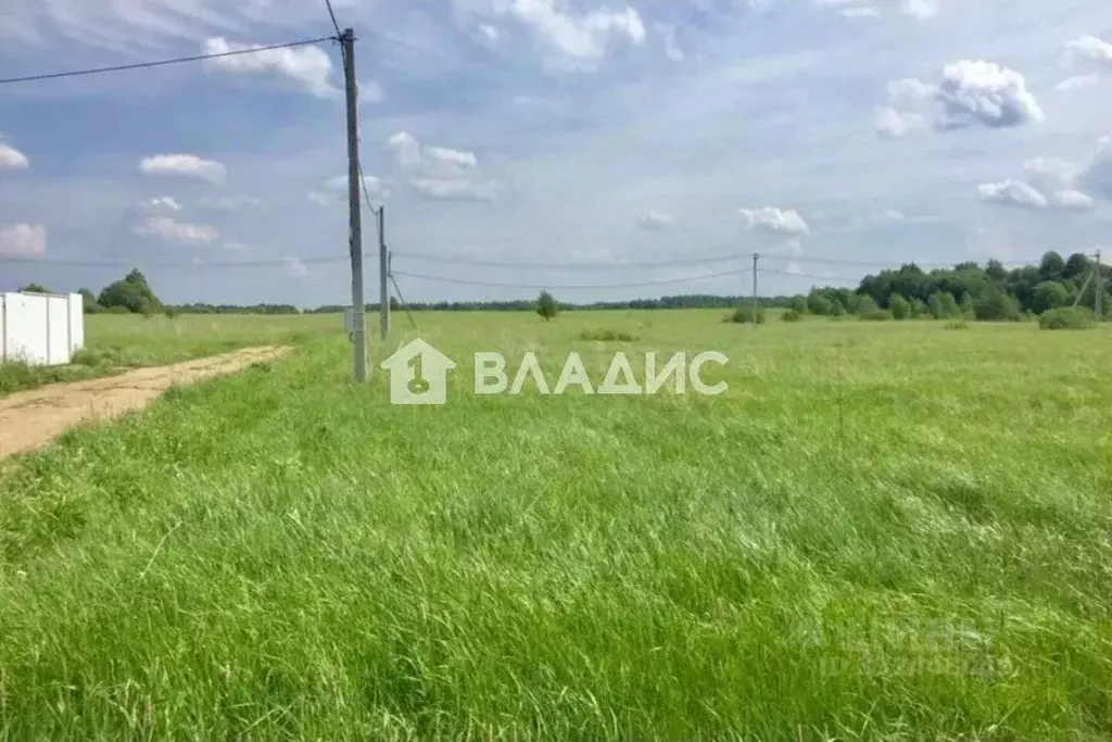 Участок в Ленинградская область, Ломоносовский район, Русско-Высоцкое ... - Фото 1