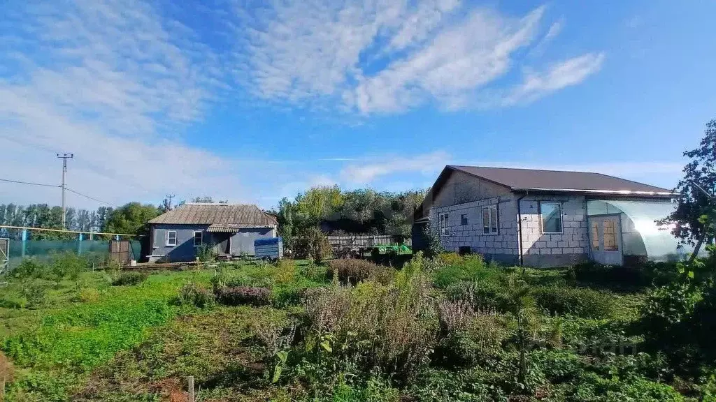 Дом в Белгородская область, Ивнянский район, Новенское с/пос, с. Новый ... - Фото 1