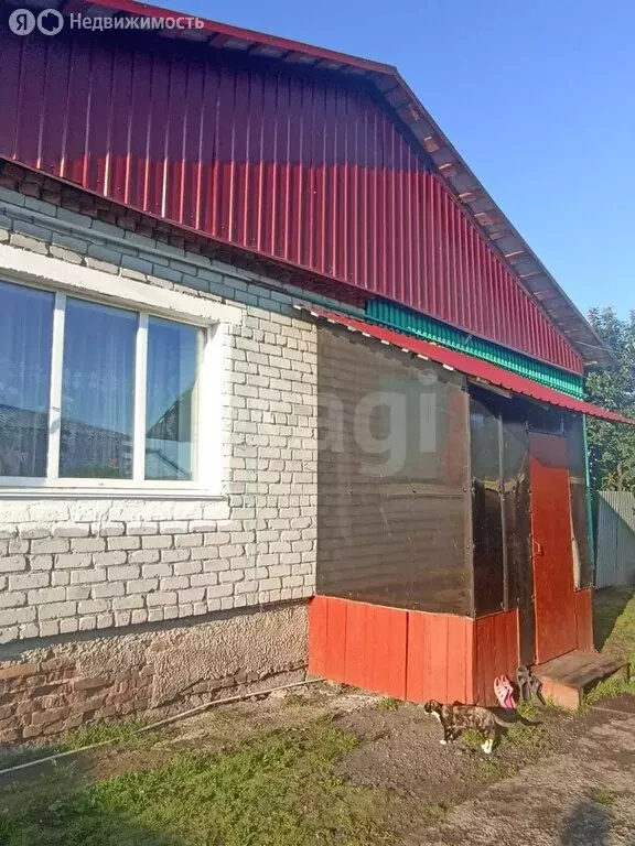 Дом в Ишимский район, деревня Куимова, Молодёжная улица, 19 (77 м) - Фото 1