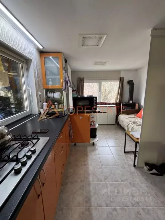Дом в Калининградская область, Пионерский Степной СНТ, 716 (30 м) - Фото 2