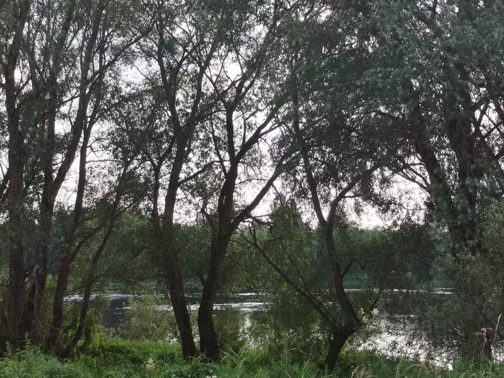Дом в Новгородская область, Новгородский район, Савинское с/пос, д. ... - Фото 0