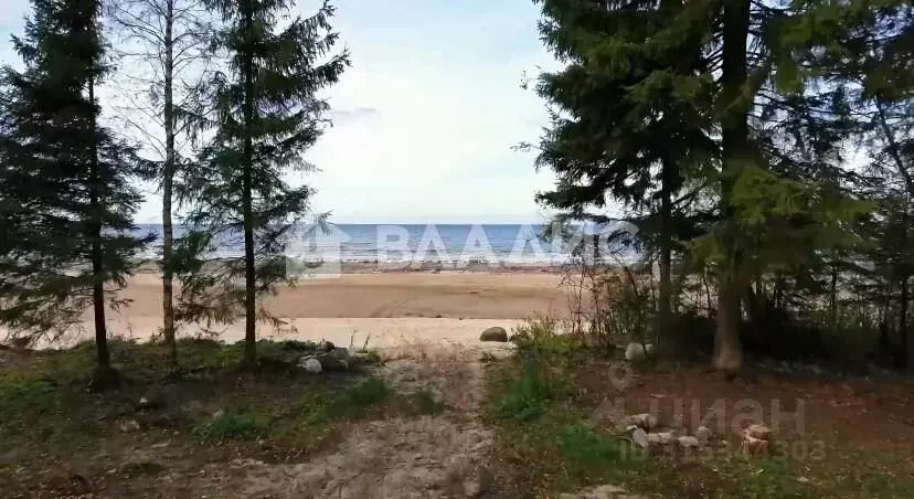 Участок в Ярославская область, Рыбинский муниципальный округ, ... - Фото 1