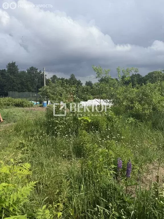 Участок в Кострома, Центральный район, речной вокзал Кострома – причал ... - Фото 1