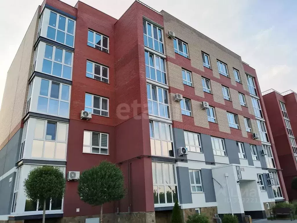 2-к кв. Брянская область, Брянский район, пос. Мичуринский, ... - Фото 2