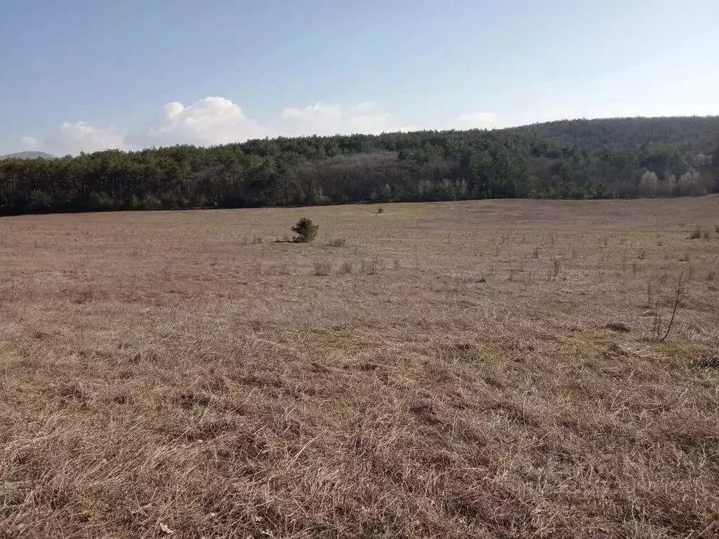 Участок в Крым, Бахчисарайский район, Красномакское с/пос, с. Холмовка ... - Фото 1