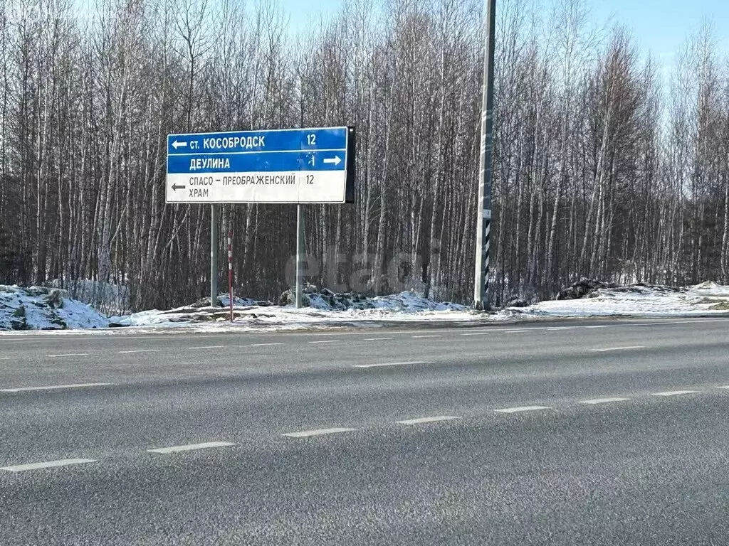 Дом в Курганская область, Каргапольский муниципальный округ, деревня ... - Фото 1