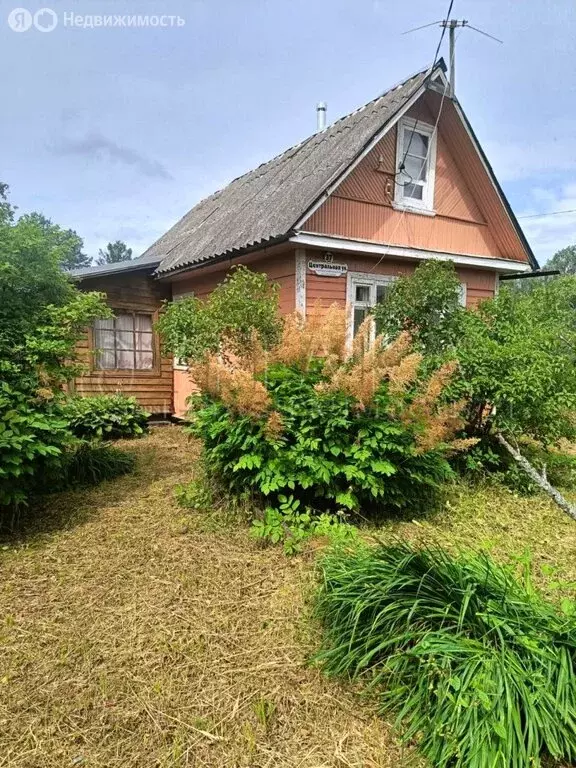 Дом в Мгинское городское поселение, дачный массив Горы-3, СНТ Комбинат ... - Фото 0