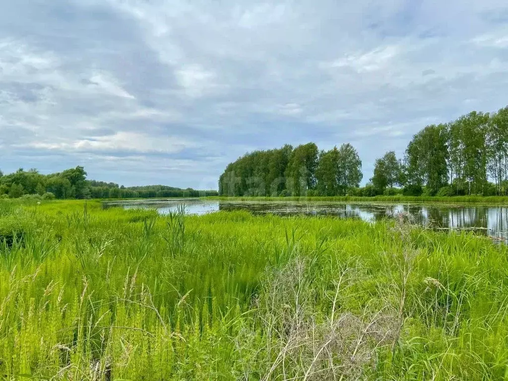 Участок в Костромская область, Кострома Рассвет СТ,  (5.0 сот.) - Фото 1