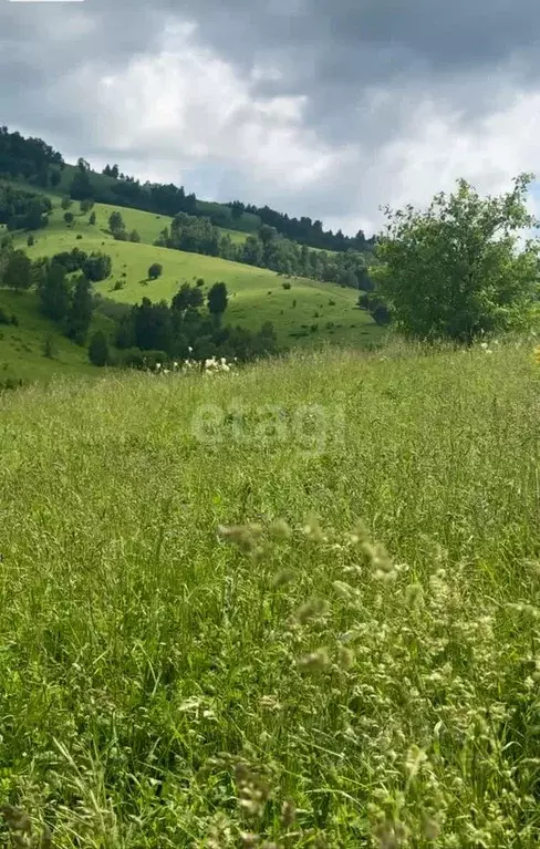 Участок в Алтайский край, Белокуриха Енисейская ул., 35 (600.0 сот.) - Фото 1