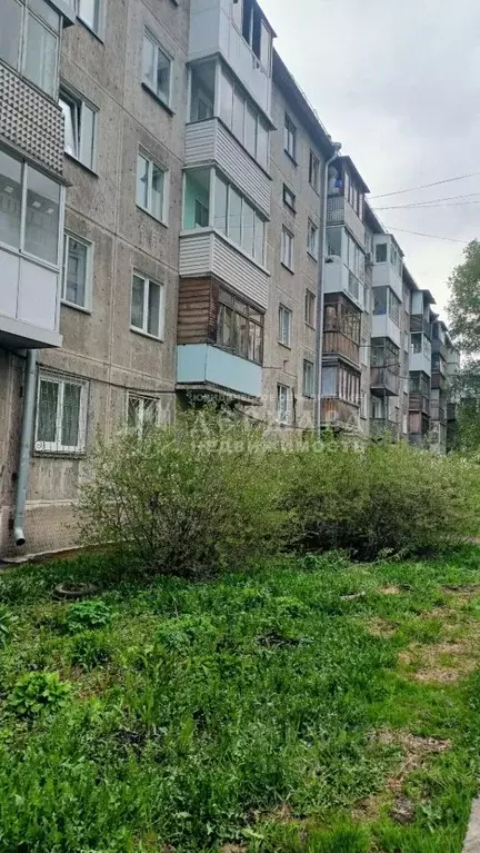 1-к кв. Кемеровская область, Кемерово просп. Ленина, 102А (31.0 м) - Фото 0