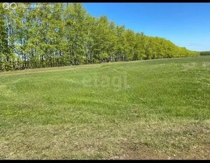 Участок в Тукаевский район, Калмиинское сельское поселение, ДНП Новая ... - Фото 2