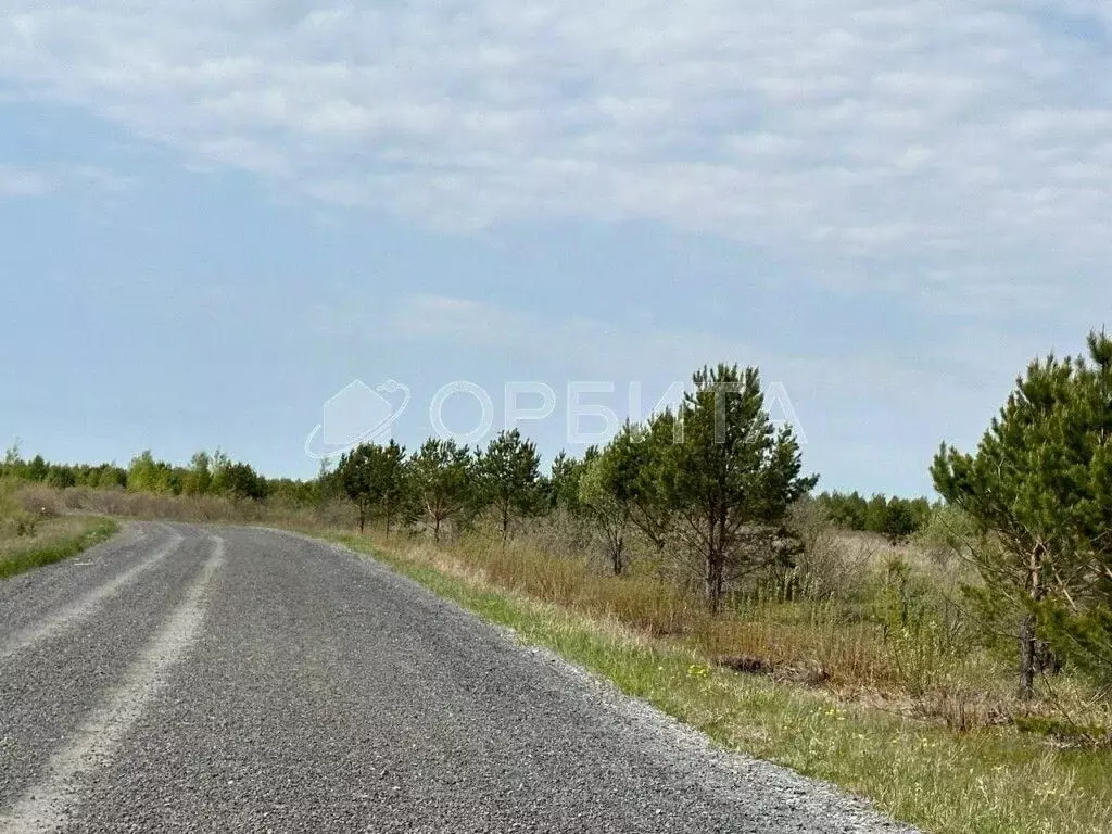 Участок в Тюменская область, Тюменский муниципальный округ, с. ... - Фото 2